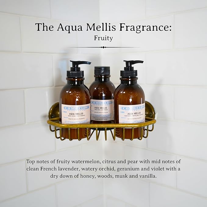 C.O. Bigelow Aqua Mellis Body Lotion, Iconic Collection Moisturizing Body Lotion with Shea Butter, Borage Oil & Grapeseed Oil, 10.5 Fl Oz