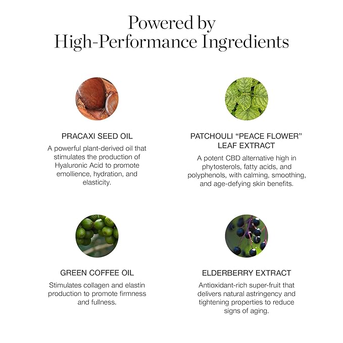 Ogee Sculpted Complexion Foundation Stick (Chestnut 13.75W - Deep Auburn, Rich-Golden Undertones) Full Coverage Foundation Makeup - Instantly Balance & Even Complexion - 70% Organic Ingredients