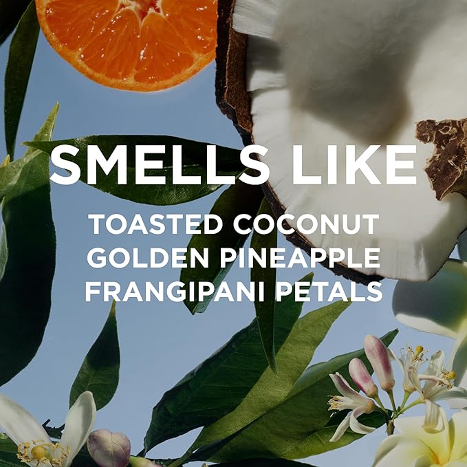 By Rosie Jane Everyday Body Milk (Missy) - Hydrating Toner & Body Moisturizer to Help Even Skin Tone - Infused with Soothing Aloe Vera and Turmeric Root to Promote Anti-Aging (5 Ounce)