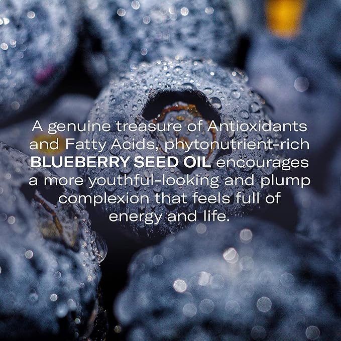 Odacité Anti Aging Serum Concentrate with Blueberry + Jasmine, Hydrating & Skin Brightening Anti-Aging Facial Oil Concentrate for Mature & Tired Skin - 0.17 fl. oz